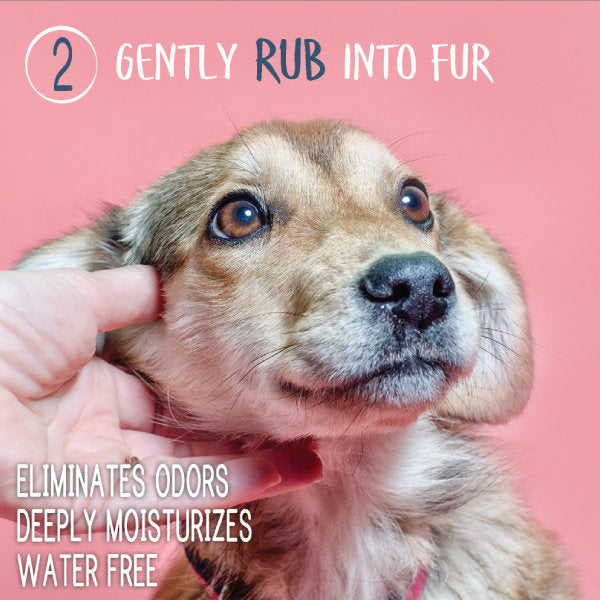 Waterless Pet Shampoo product image 4