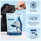 Dog Joint Health Supplement product image 1