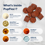 Dog Joint Health Supplement product image 6