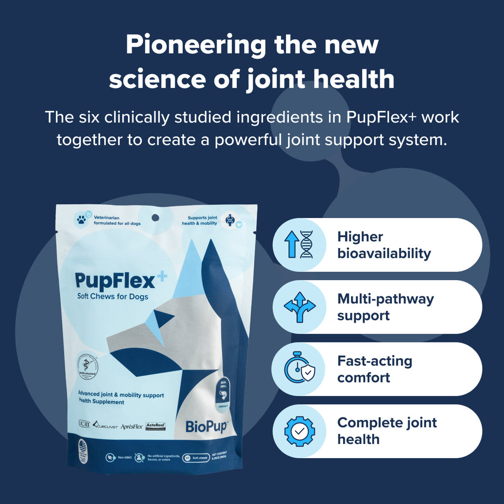 Dog Joint Health Supplement product image 7
