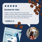 Dog Joint Health Supplement product image 8
