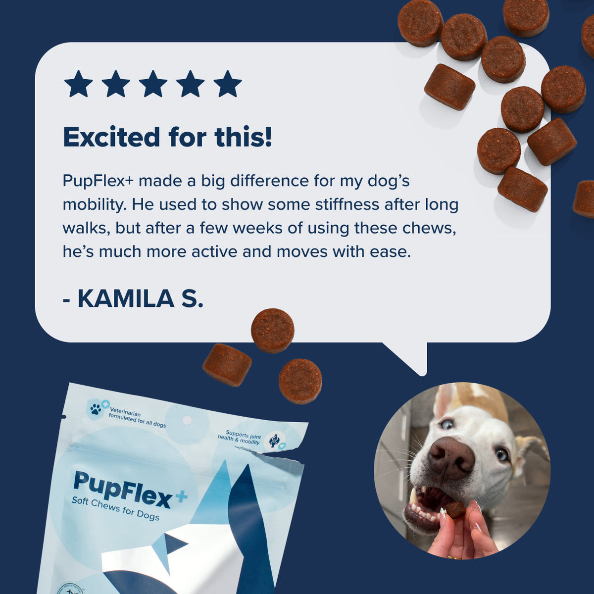 Dog Joint Health Supplement product image 8
