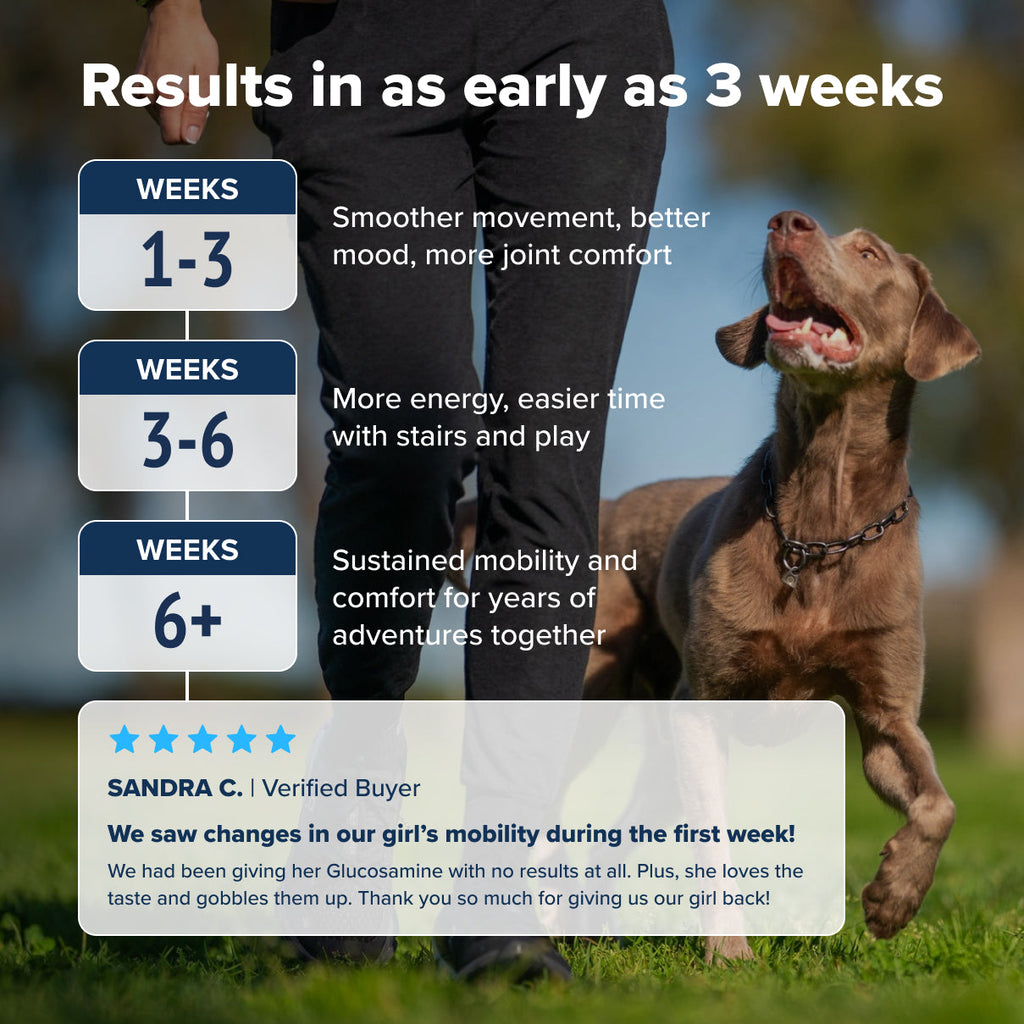 Dog Joint Health Supplement product image 9