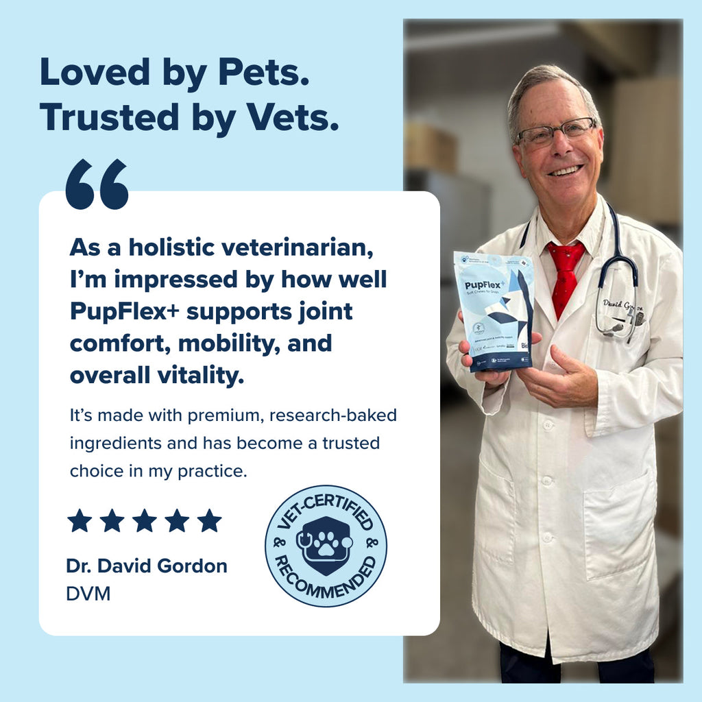 Dog Joint Health Supplement product image 10