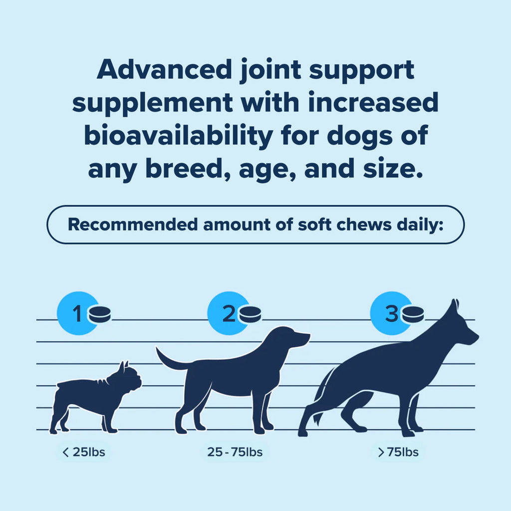 Dog Joint Health Supplement product image 11