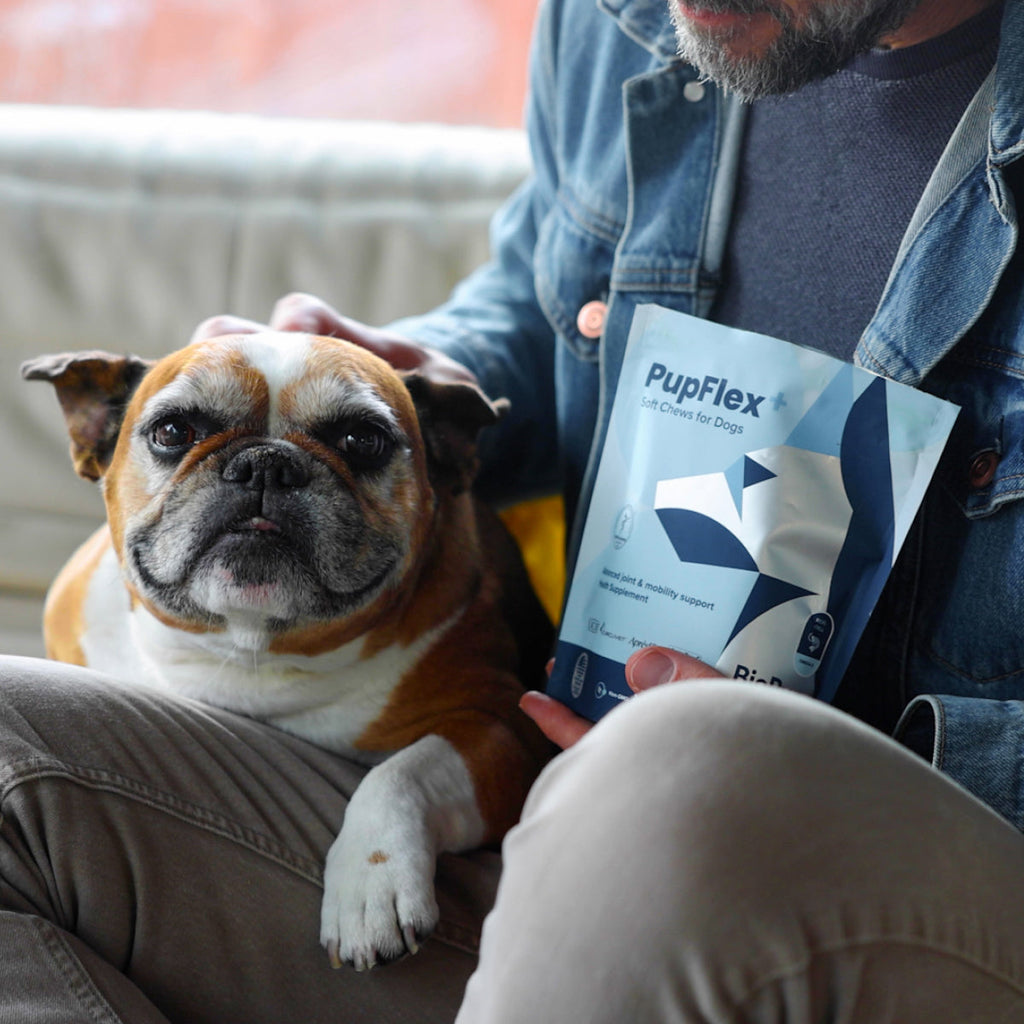 Dog Joint Health Supplement product image 13