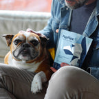 Dog Joint Health Supplement product image 13