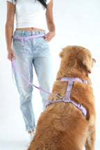 Hands-Free Dog Leash product image 6