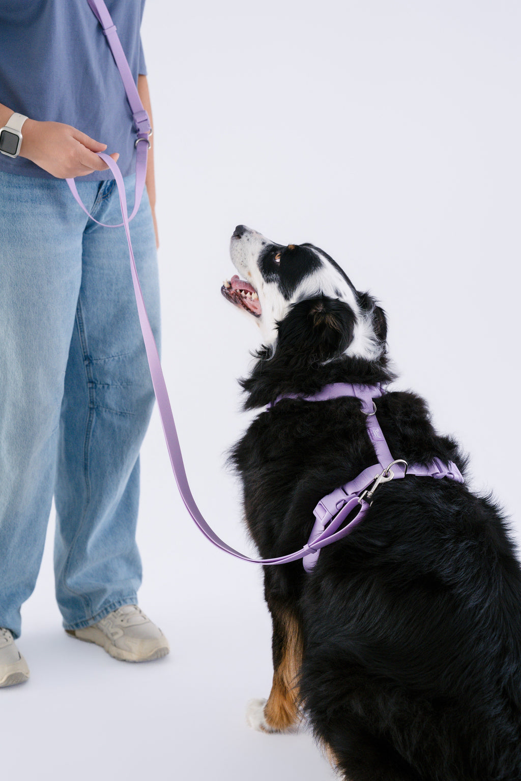 Hands-Free Dog Leash product image 7