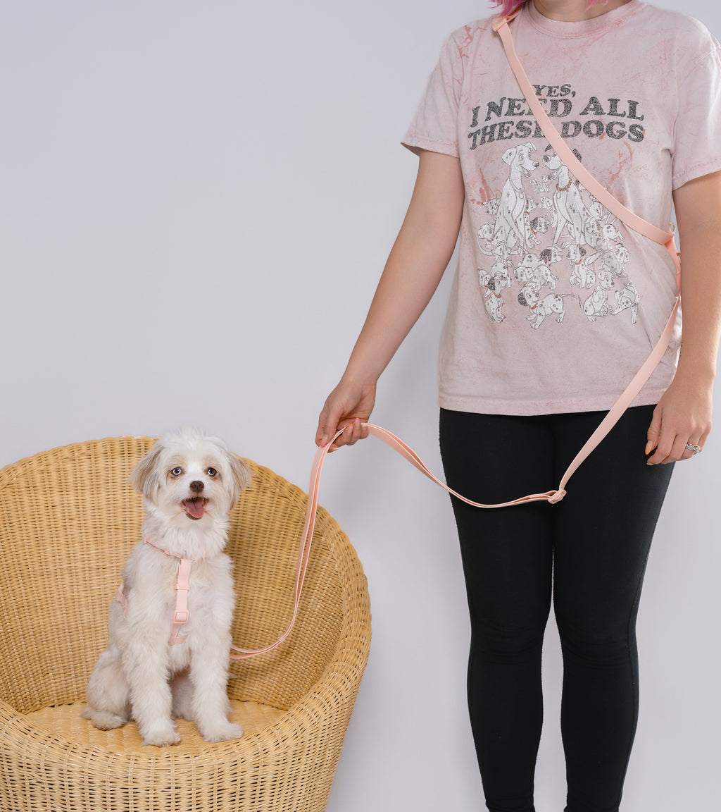 Hands-Free Dog Leash product image 10
