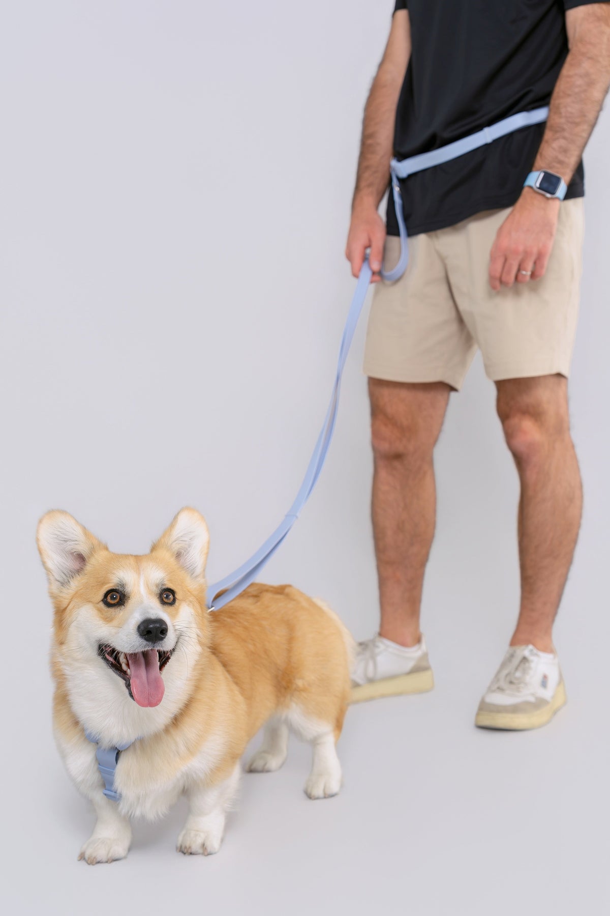 Hands-Free Dog Leash product image 13
