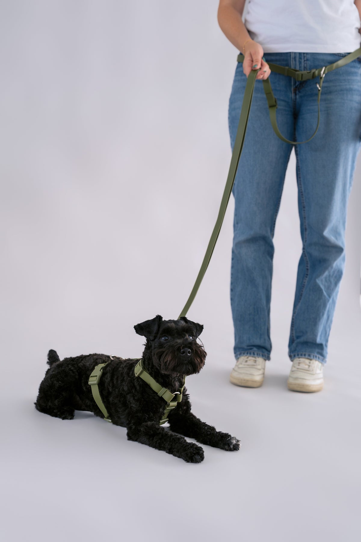 Hands-Free Dog Leash product image 17