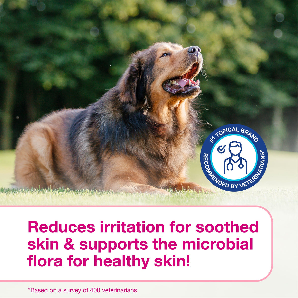 Pet Shampoo product image 9
