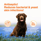 Pet Antiseptic Shampoo product image 3