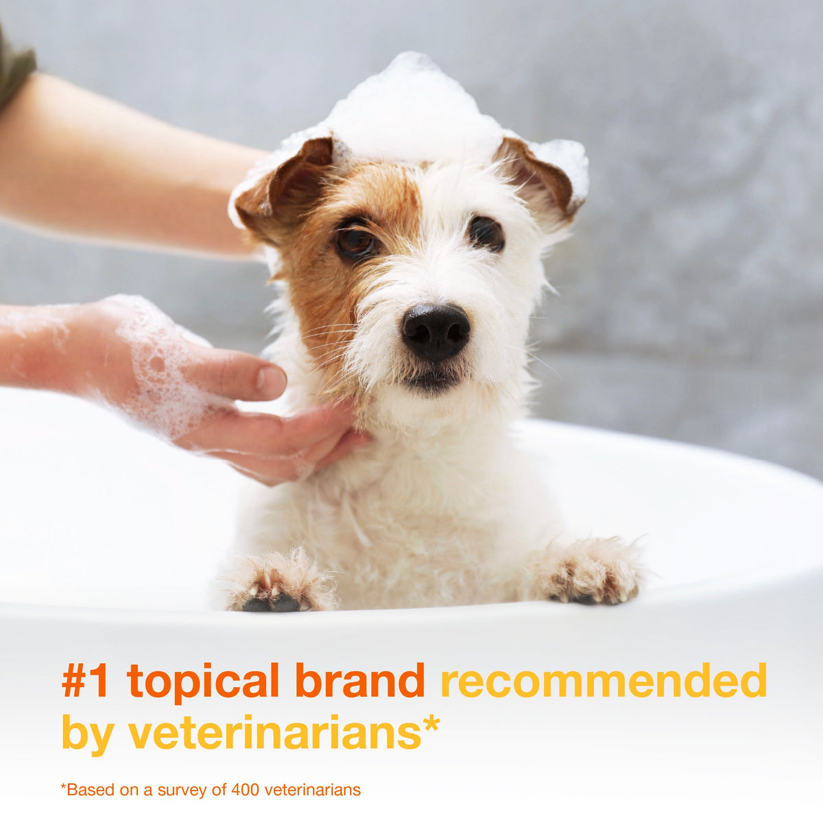 Pet Antiseptic Shampoo product image 4