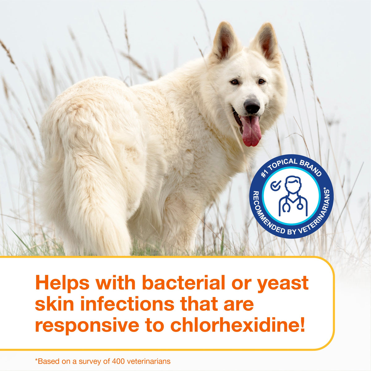 Pet Antiseptic Shampoo product image 9