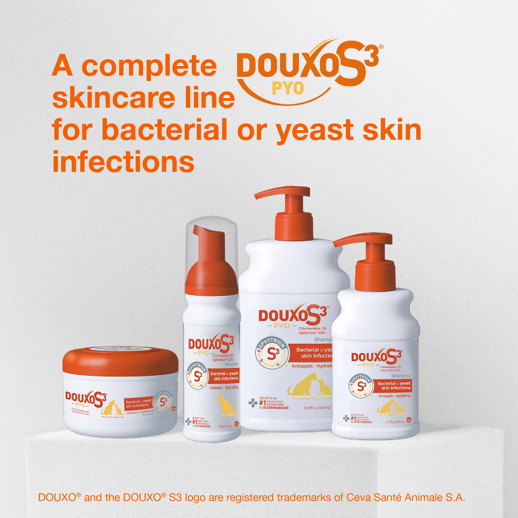 Pet Antiseptic Shampoo product image 10