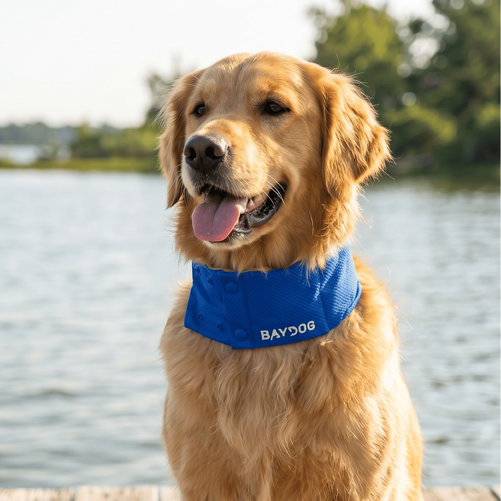 Dog Cooling Collar product image 4