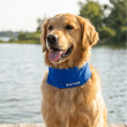 Dog Cooling Collar product image 4