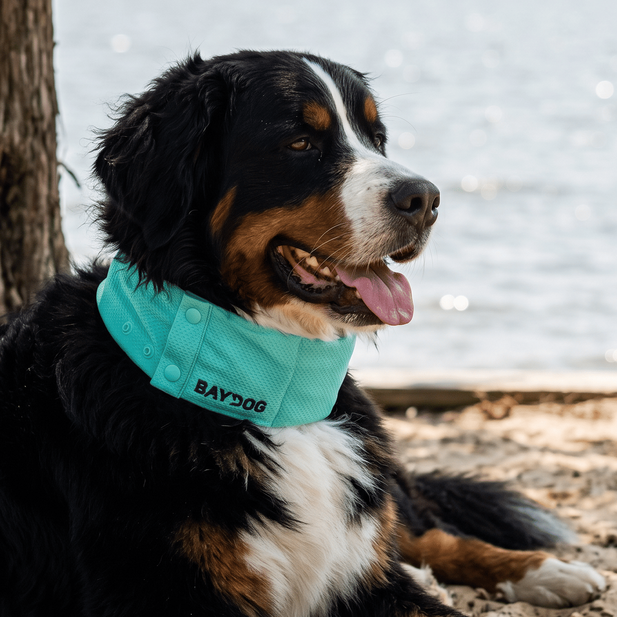 Dog Cooling Collar product image 18