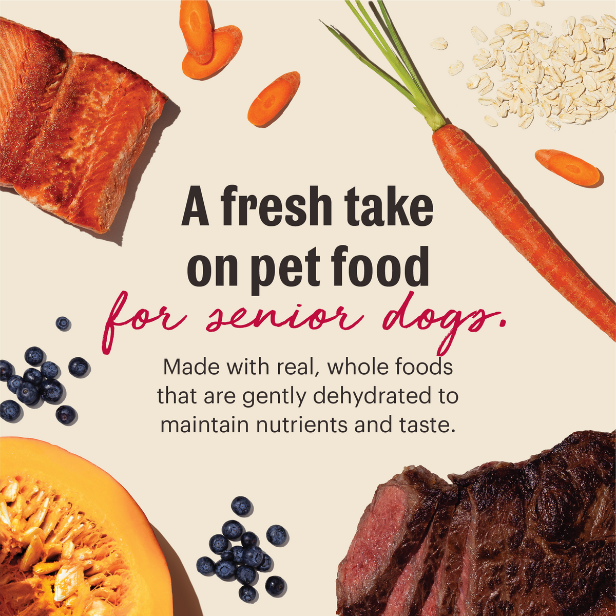 Senior Dog Food product image 2