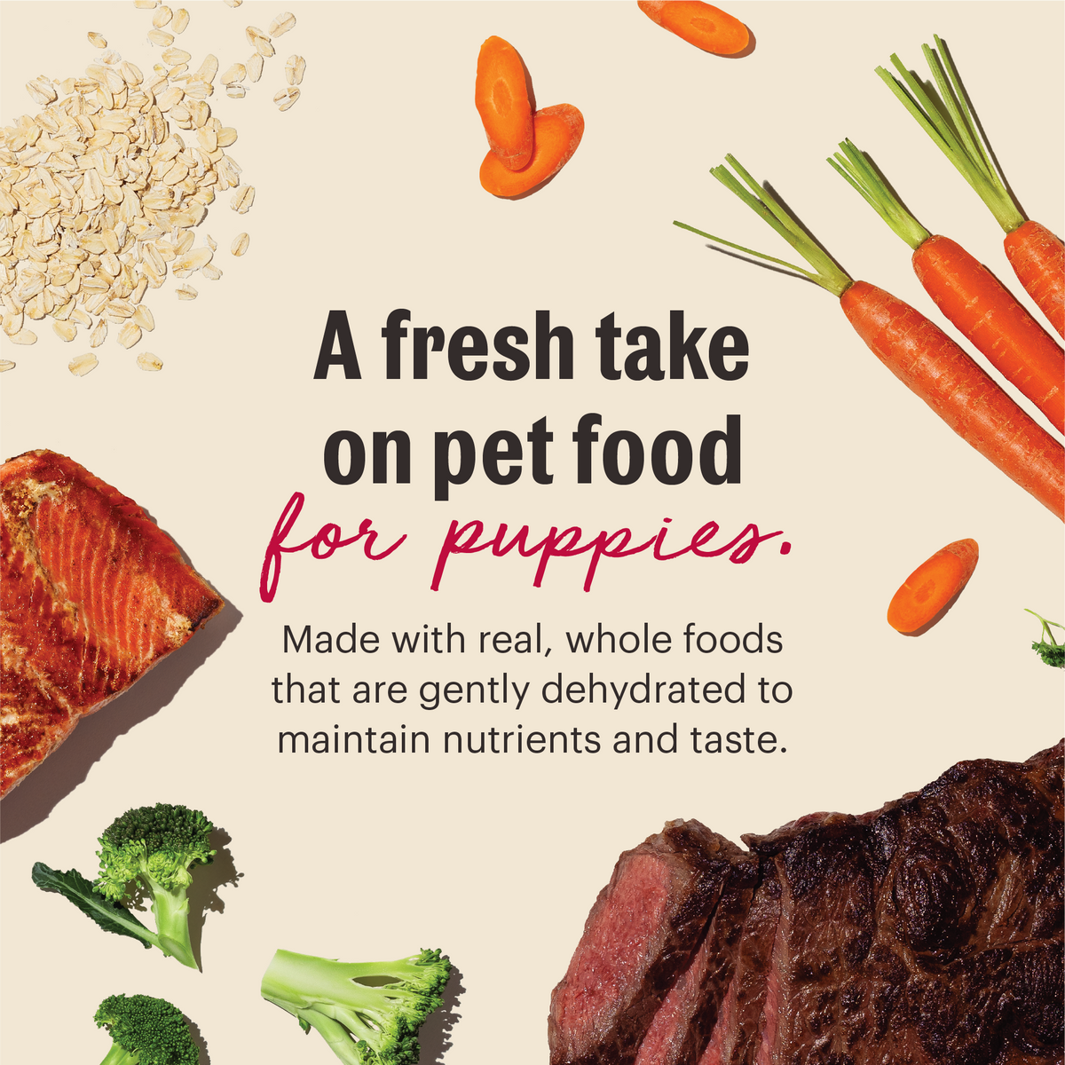 Dehydrated Puppy Food product image 2