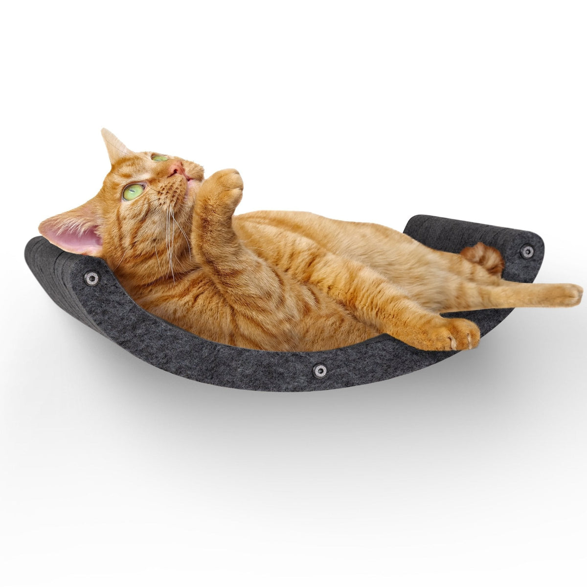 Cat Climber product image 1