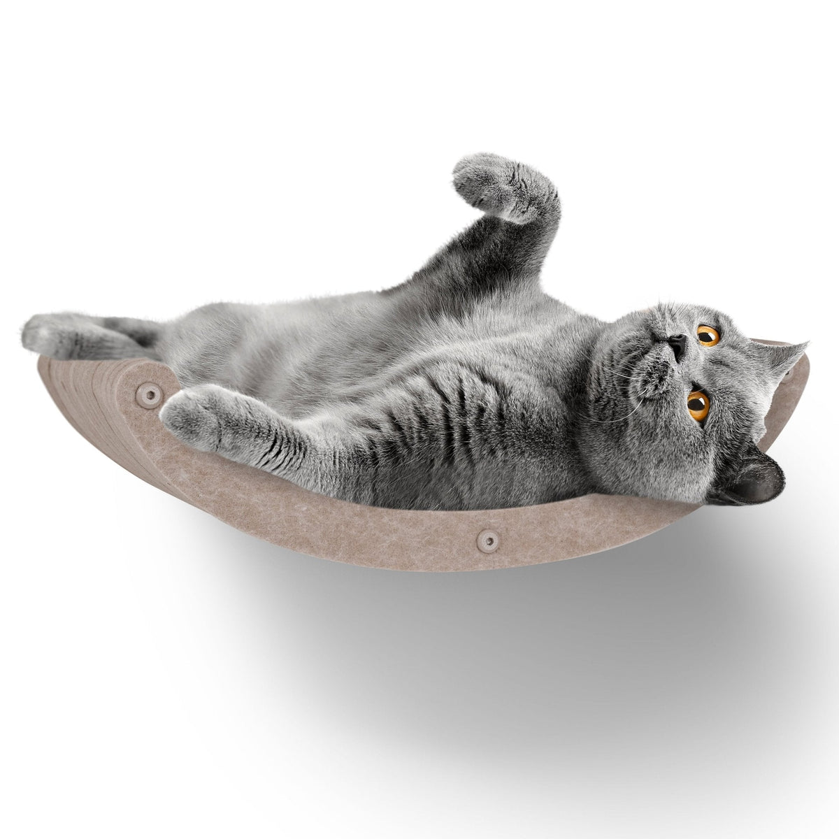 Cat Climber product image 1
