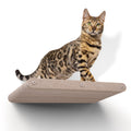 Cat Climber product image 1