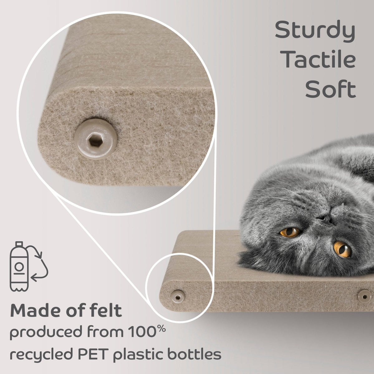 Cat Steps product image 2