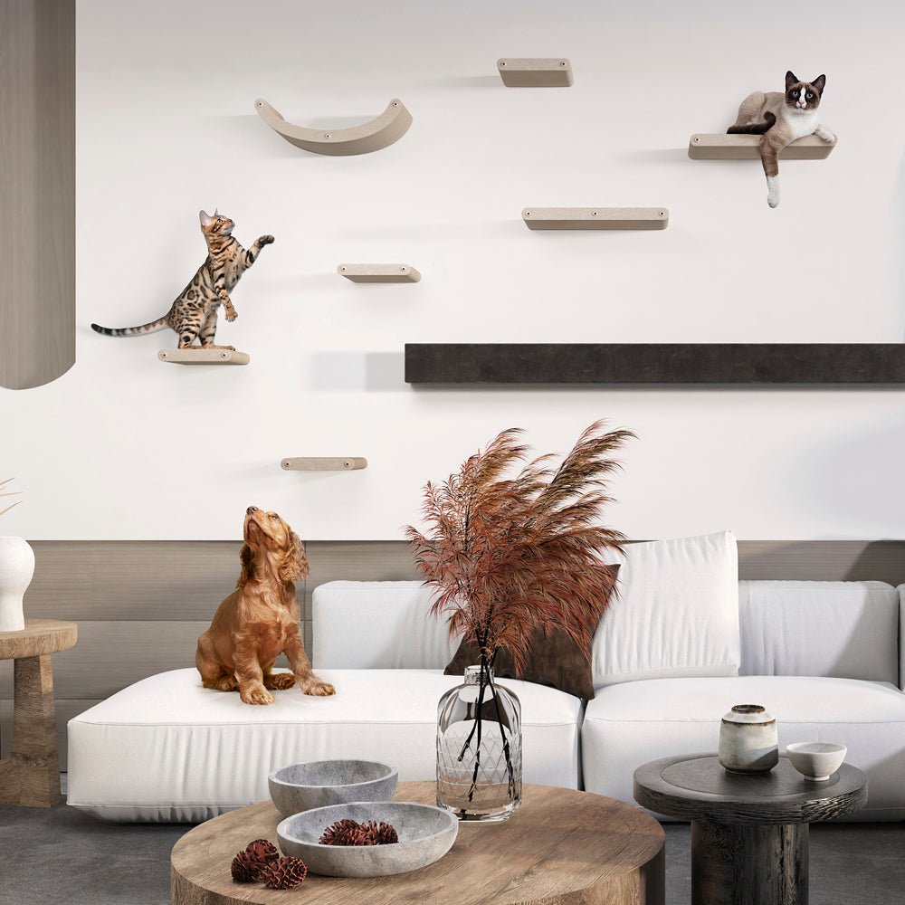 Cat Steps product image 4