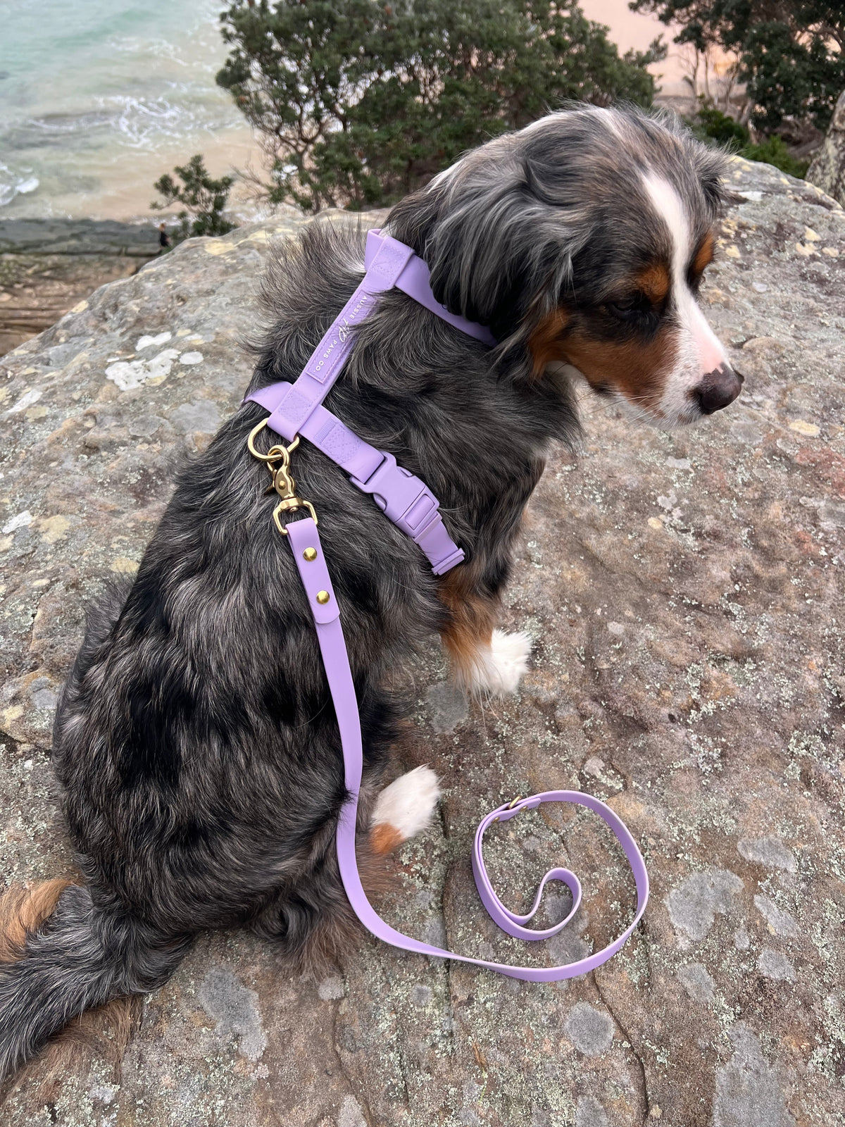 Dog Harness product image 1