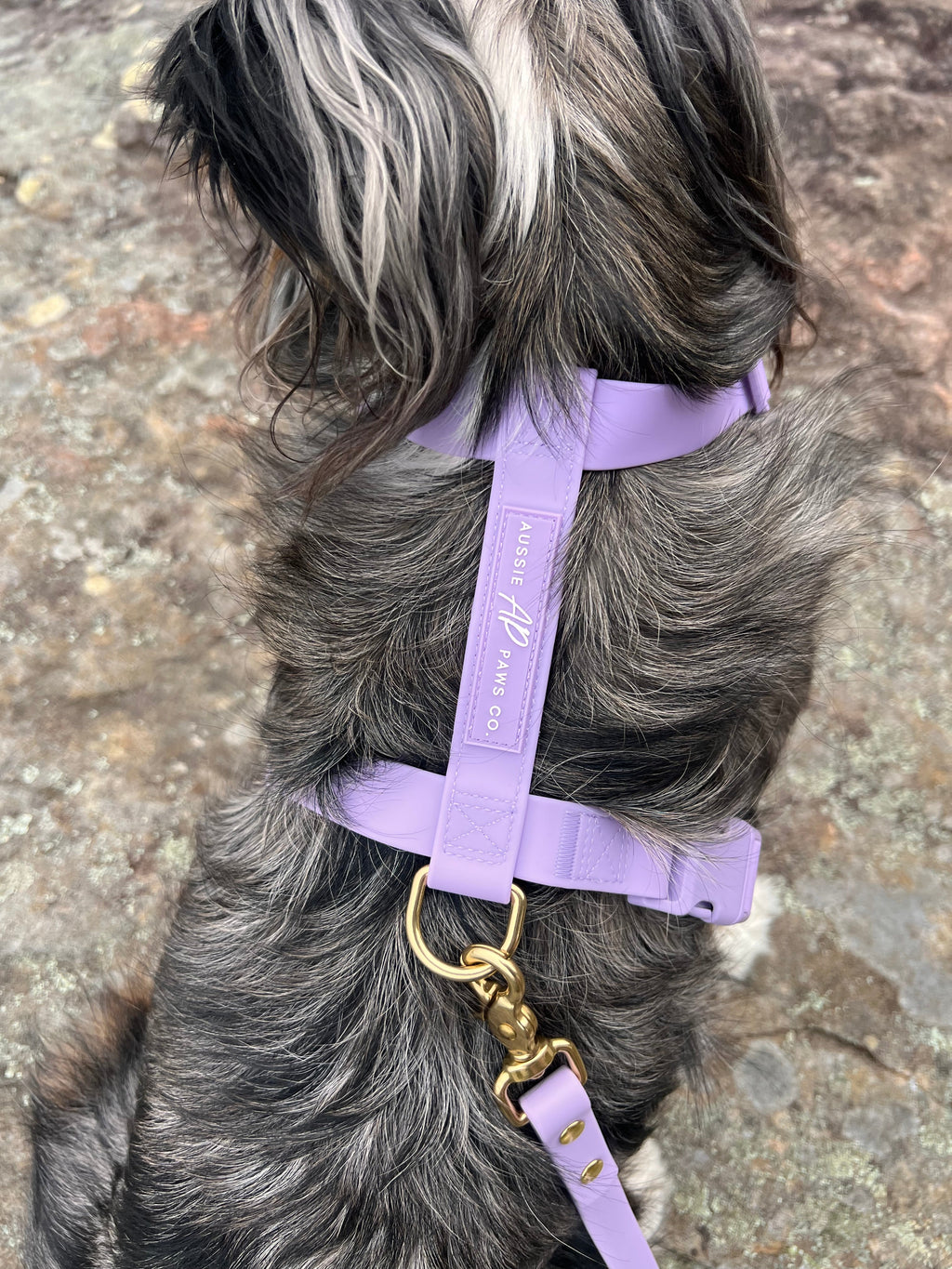 Dog Harness product image 2