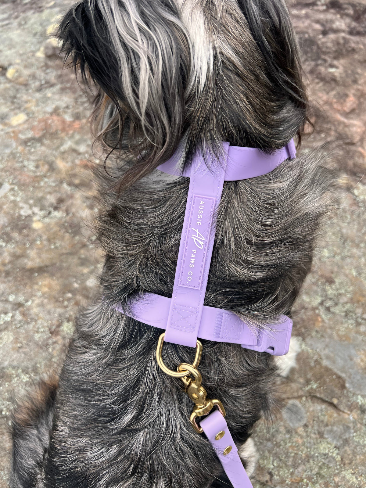 Dog Harness product image 2