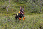 Dog Safety Vest product image 2