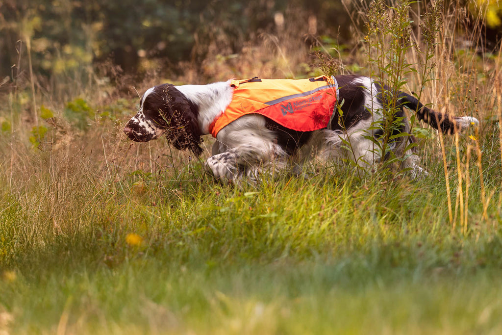 Dog Safety Vest product image 6
