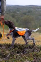 Dog Safety Vest product image 7