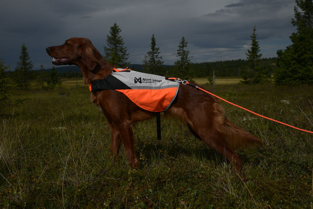 Dog Safety Vest product image 8
