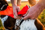 Dog Safety Vest product image 9