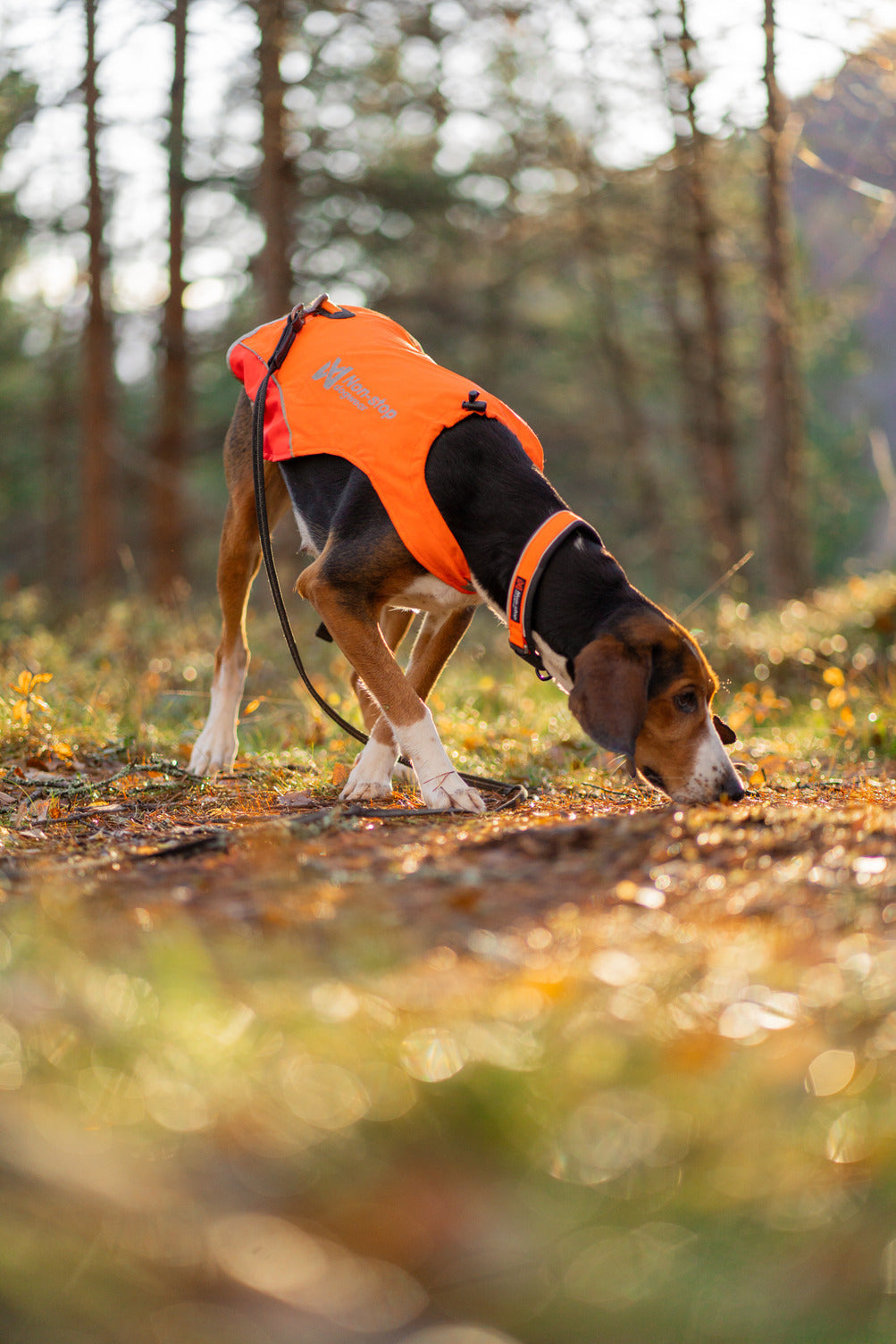 Dog Safety Vest product image 10