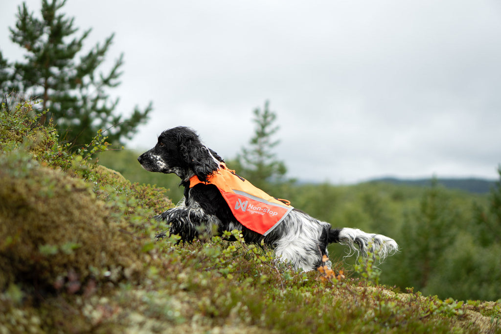 Dog Safety Vest product image 2