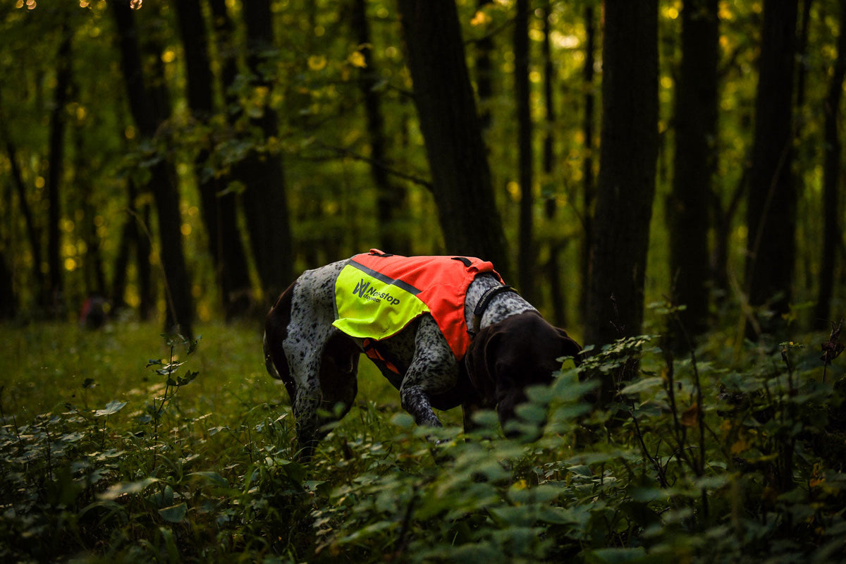 Dog Safety Vest product image 4