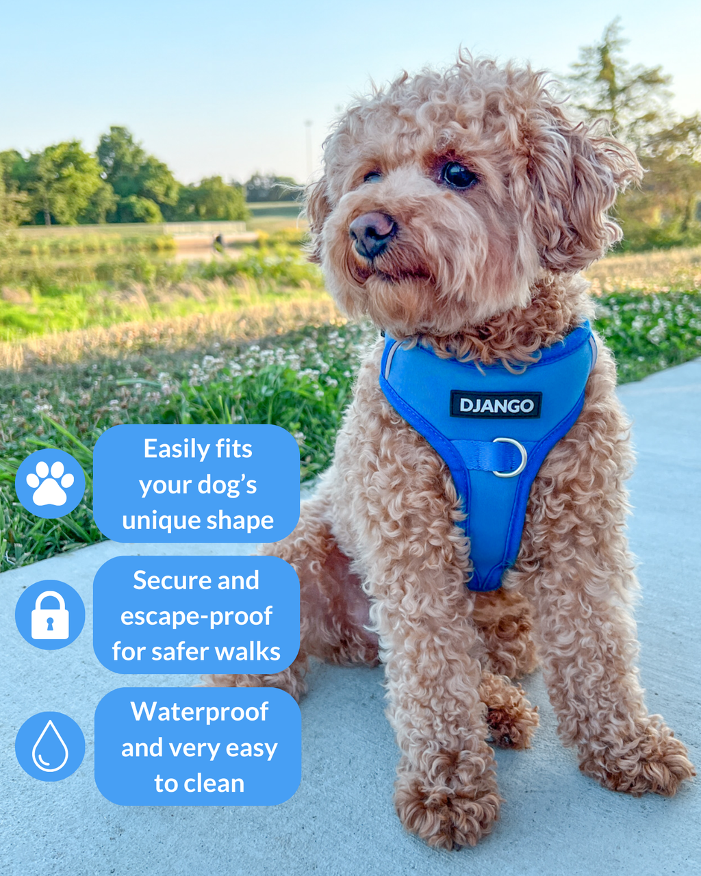 No Pull Dog Harness product image 3