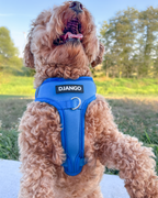 No Pull Dog Harness product image 7