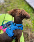 No Pull Dog Harness product image 8