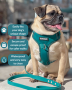 No Pull Dog Harness product image 13