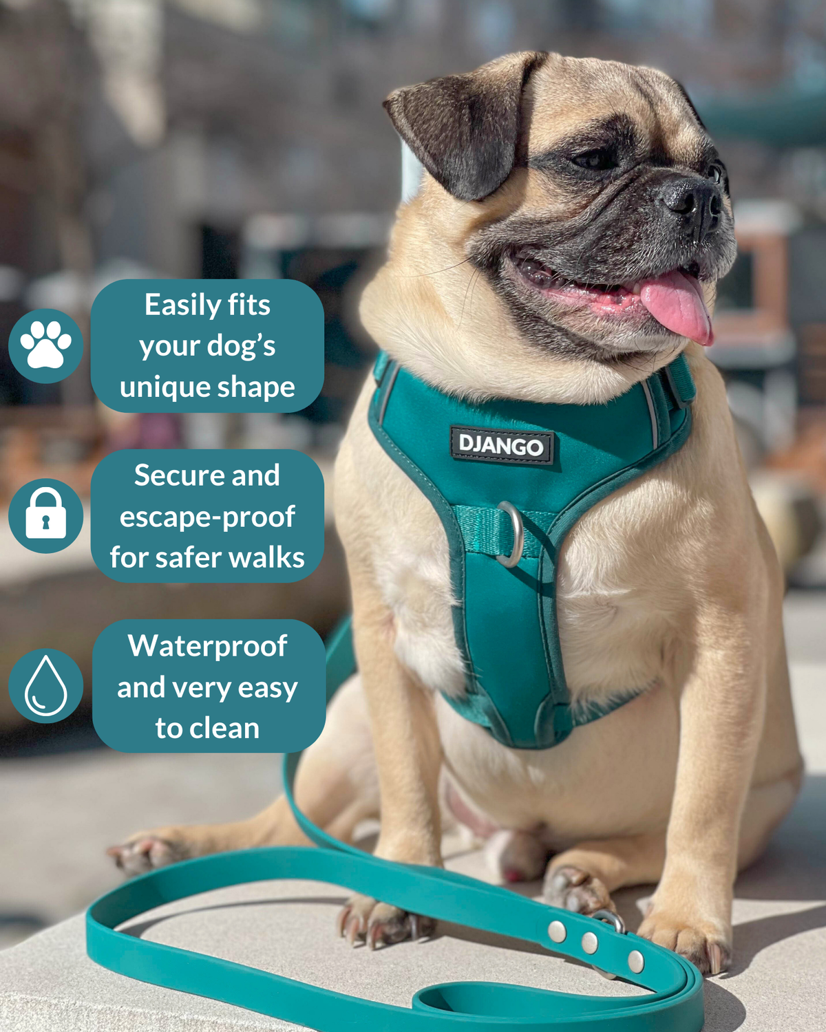 No Pull Dog Harness product image 13