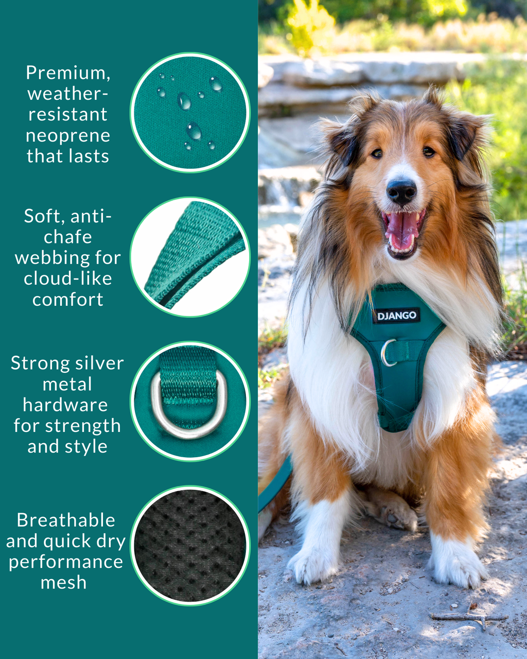 No Pull Dog Harness product image 14