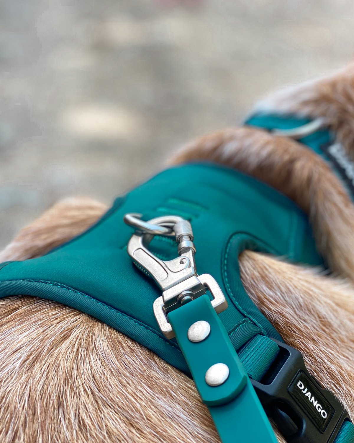 No Pull Dog Harness product image 16