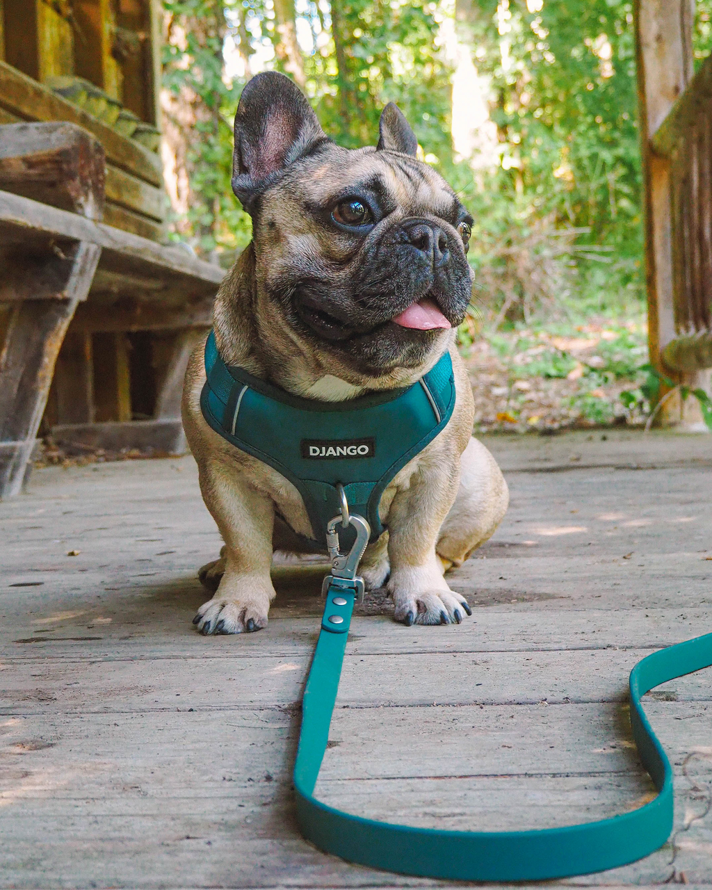 No Pull Dog Harness product image 21